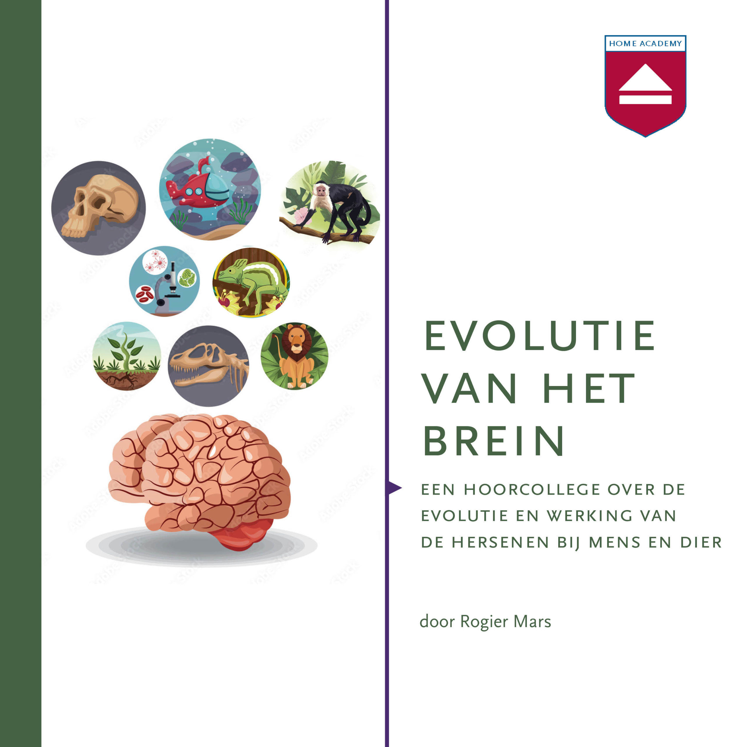Evolutie van het brein hoorcollege